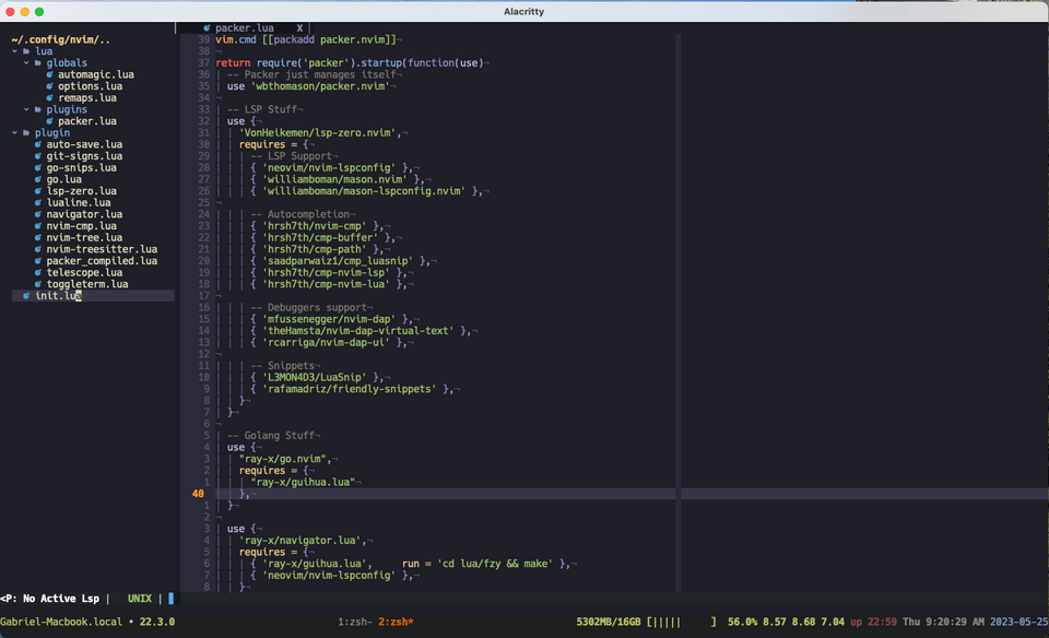 Neovim Config